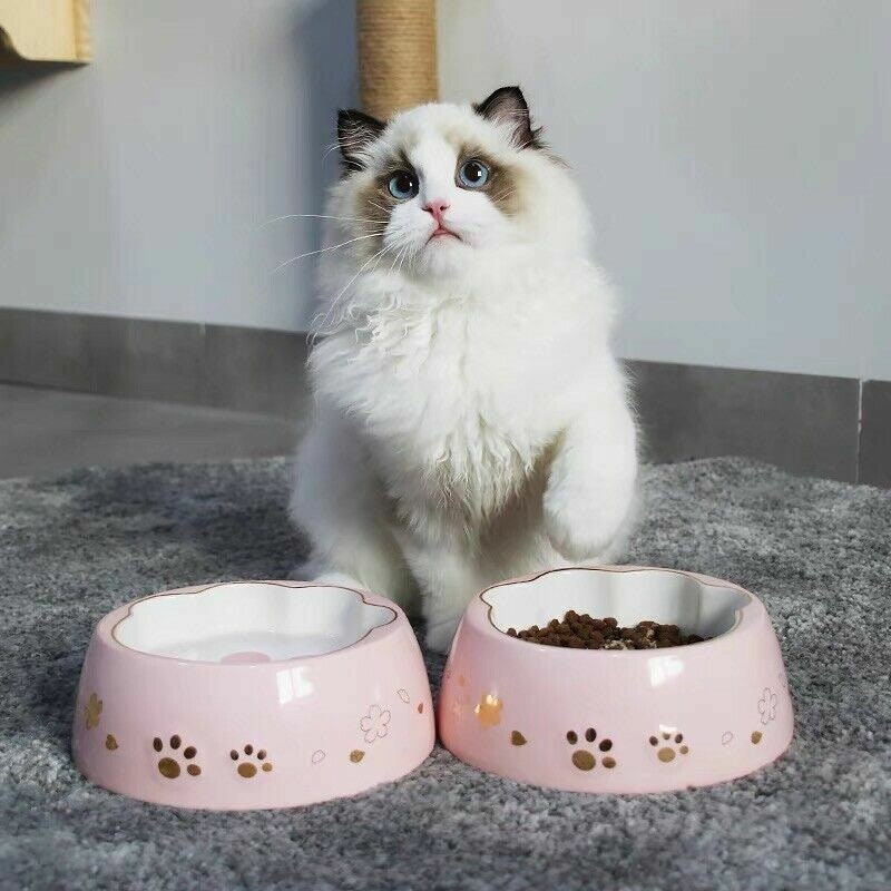 Starbucks Pet Bowl spot Cherry Blossom powder cat bowl drinking water bowl ceramic cat and dog products. Paw print Kawaii Pet Bowl