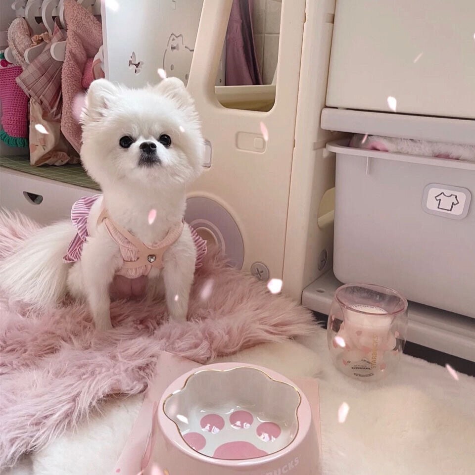 Starbucks Pet Bowl spot Cherry Blossom powder cat bowl drinking water bowl ceramic cat and dog products. Paw print Kawaii Pet Bowl